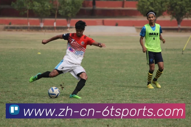 App Interface Preview