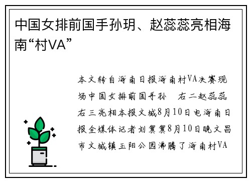 中国女排前国手孙玥、赵蕊蕊亮相海南“村VA”